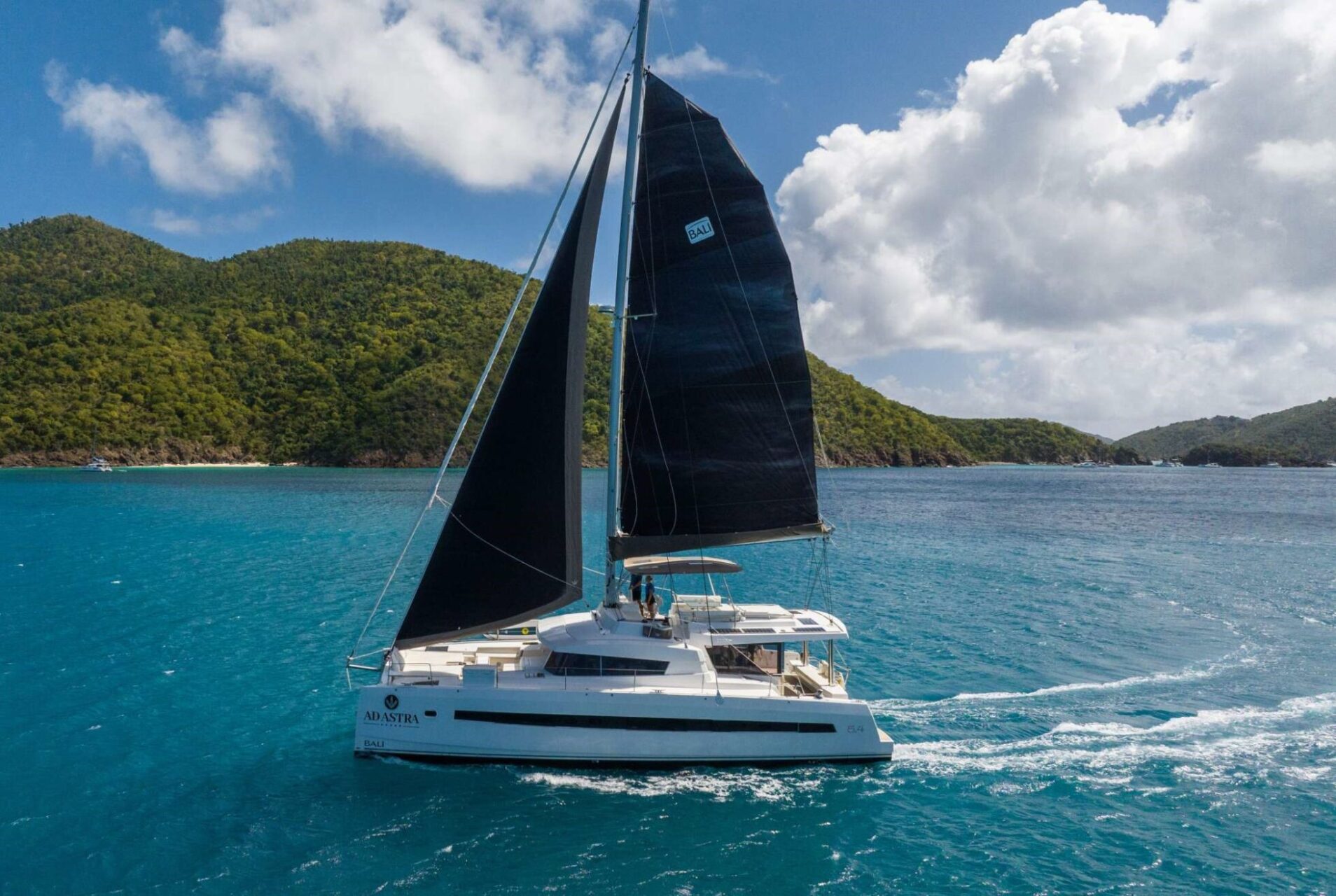 Bali Cats taking the charter scene by storm